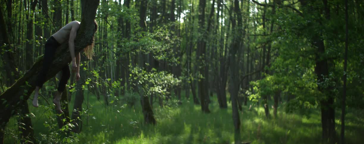 A person laying in a tree in a forest