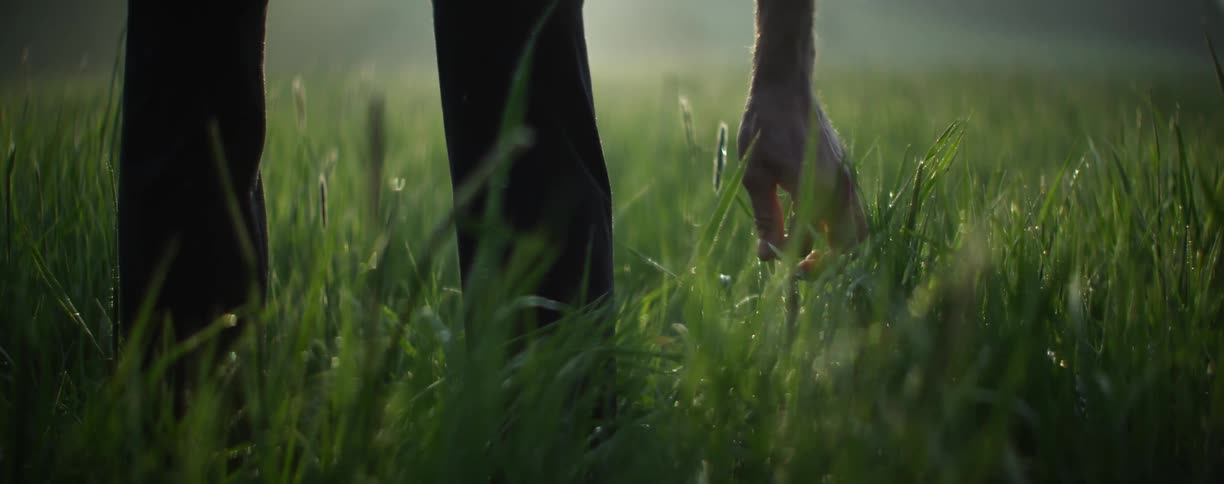 A slow motion video of someone picking grass