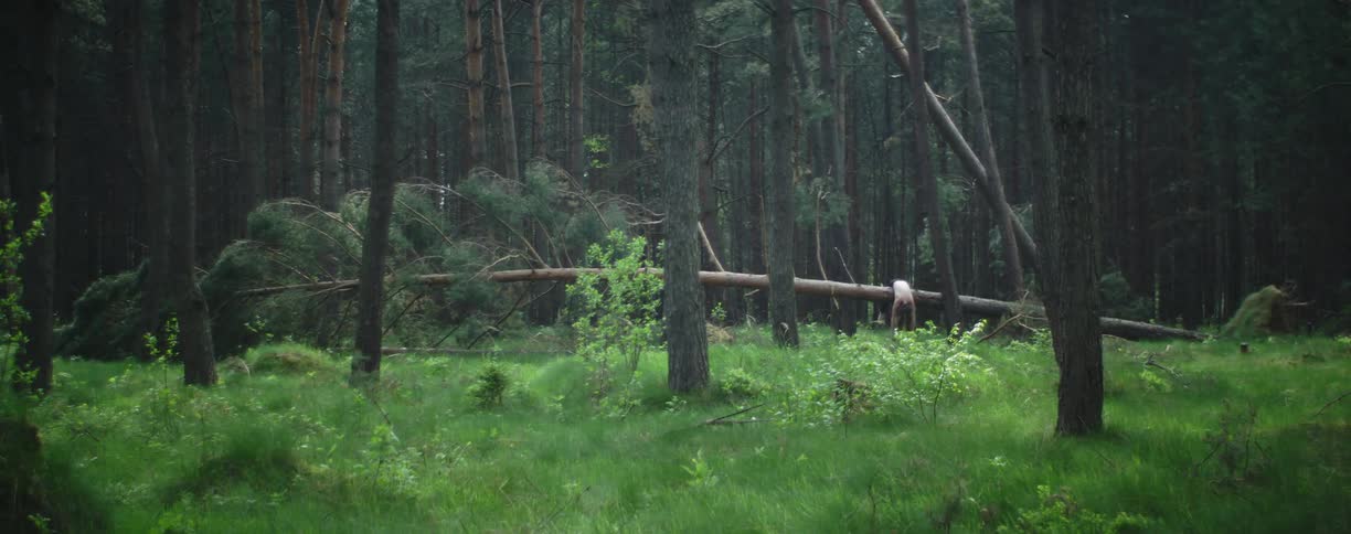 A woman slumped over a fallen down tree in a forest
