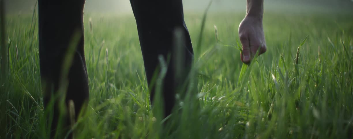 A man bent over a grass field picking blades of green grass with his hand at sunset
