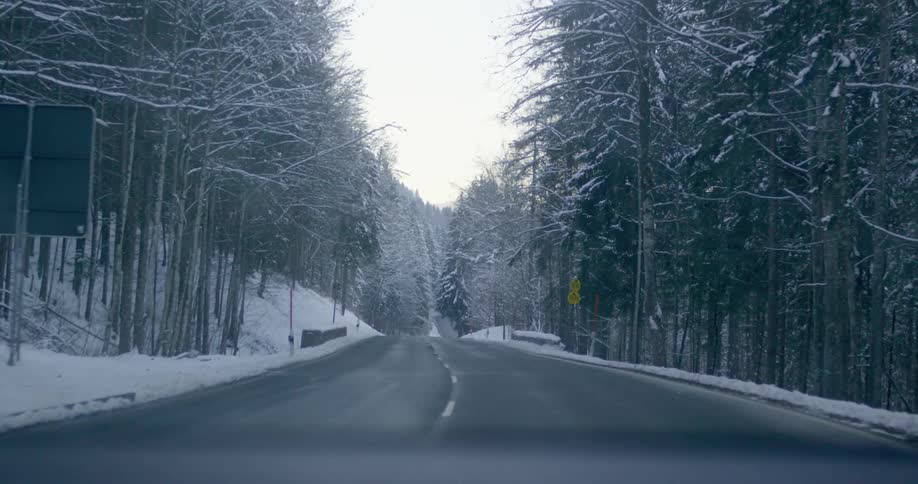 Driving on a road through the snow covered pine tree forest at morning