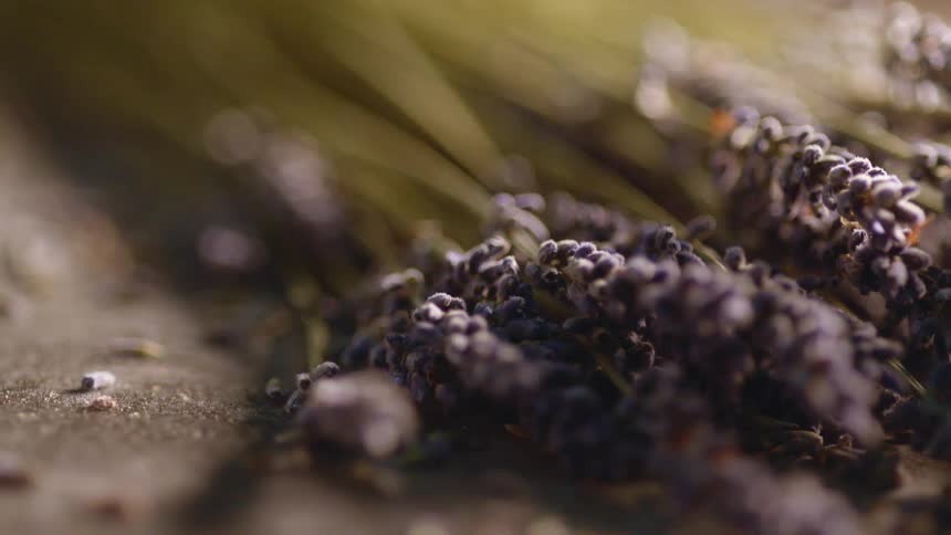 Close up of a bunch of grains still on the stems resting over a surface