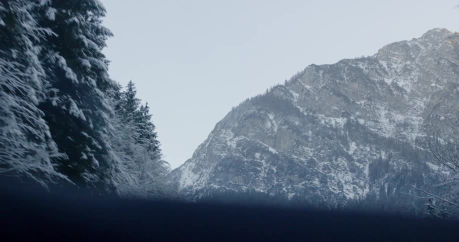 Traveling towards snowy mountains passing frost covered trees