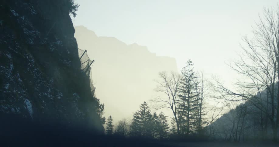 Bare trees in snowy mountains in nature