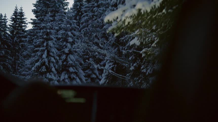A car is driving through a wooded area