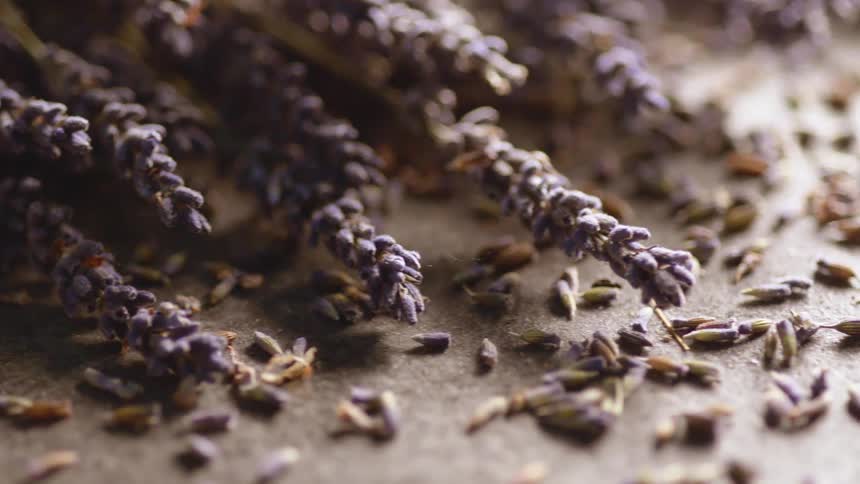Plant stalks with grain lying on a a counter