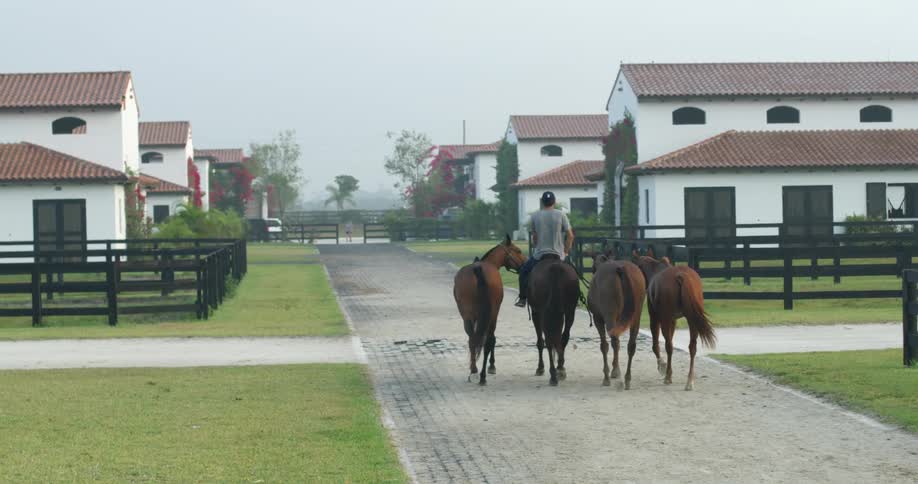 A man rides a horse as three horse walk beside them in a rural area with buildings