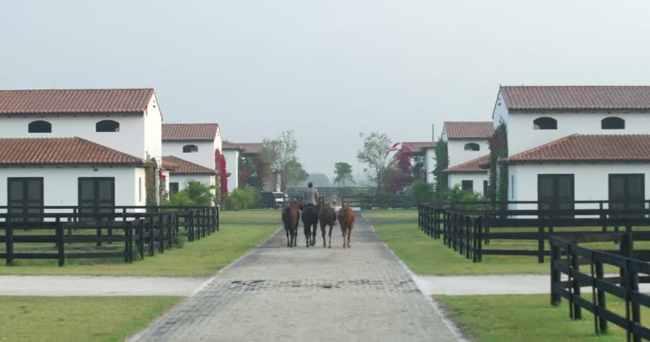 A man on riding on horseback guides horses to the stables in a ranch