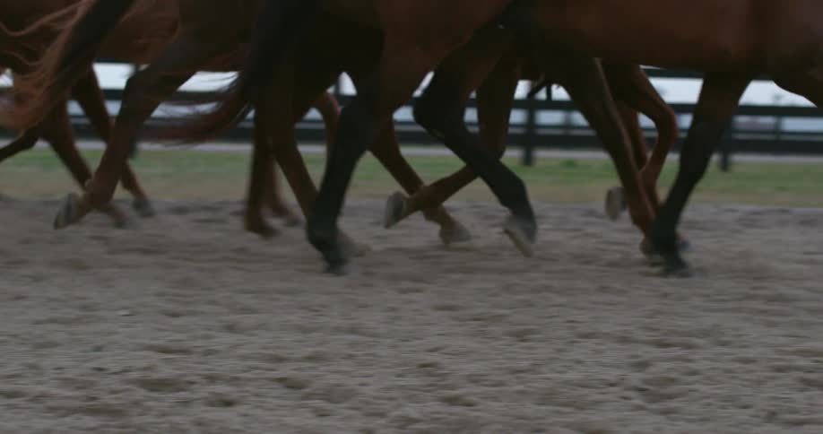 A person leading horses on a track with the sky and clouds in the background