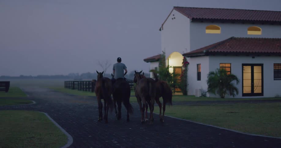 A man rides a brown horse while walking with three other horses next to a house in the countryside in the evening