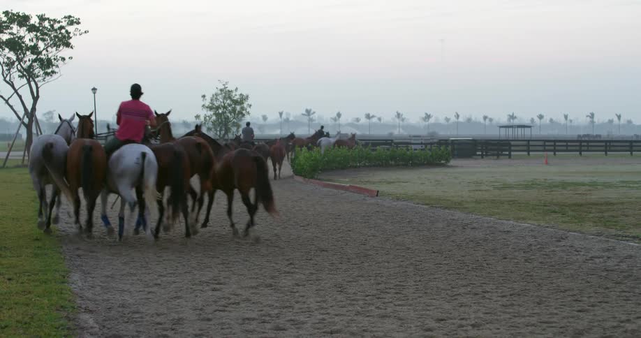 Men leading horses around the track with trees the sky and clouds in the background
