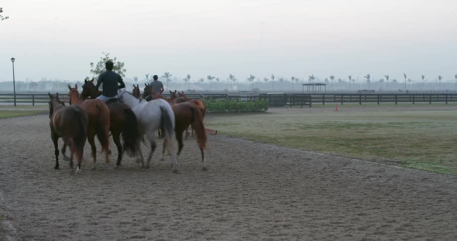 Two men are riding horses at a ranch