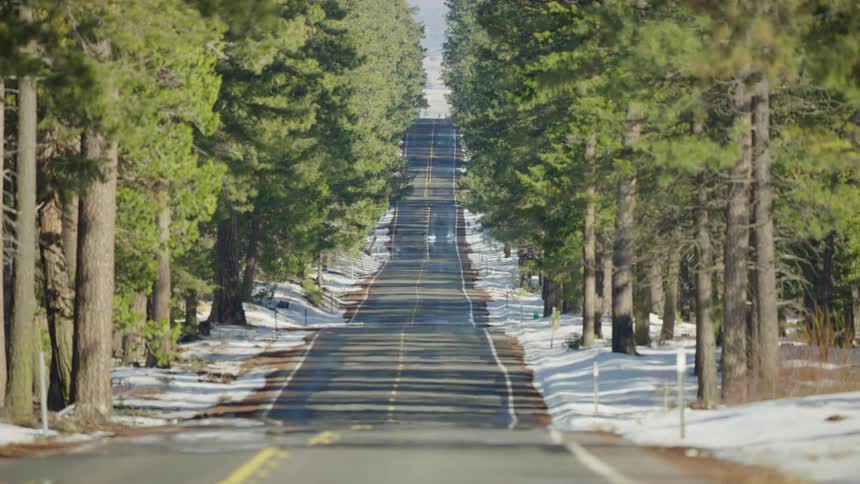 Looking forward at rolling hills on a two lane highway in this unique perspective winter driving shot with tall pine trees and snow on the side of the road
