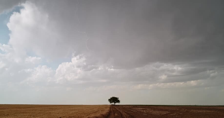 A view of a lightning strike near a tree