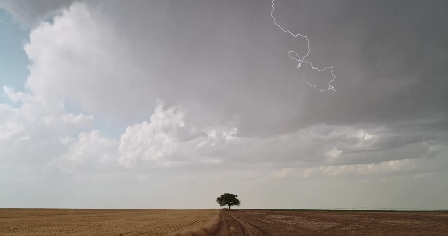 Lightning bolts flashing down from storm clouds near a rural road and a tree at the side of the road
