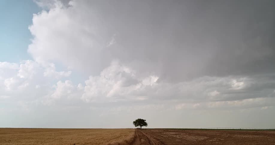 Storm clouds rolling in over a large field with a single tree in the distance as lightning strikes down in the distance