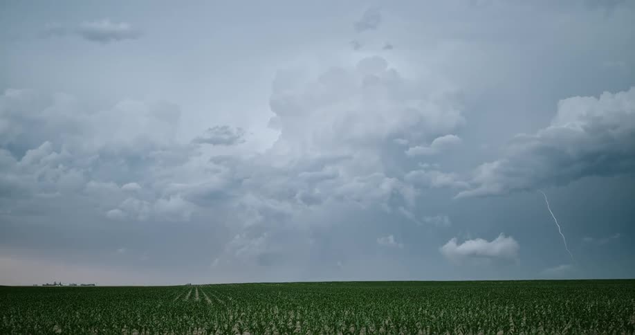 Lightning flashes in the cloudy sky above a vast grassland during the day