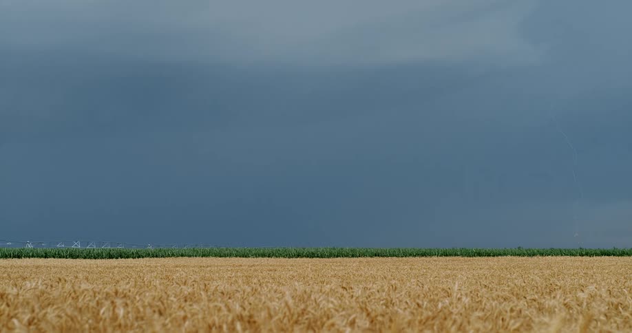 Lightning bolts flash and come down near a farmland