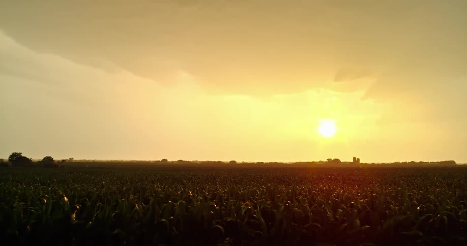 A view of a field with sun setting in the distance