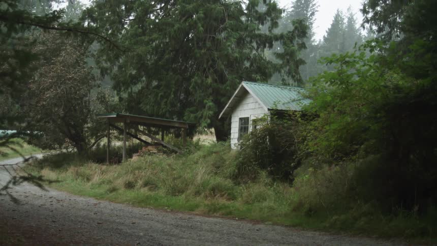 A small house sits in amidst trees in a rural area
