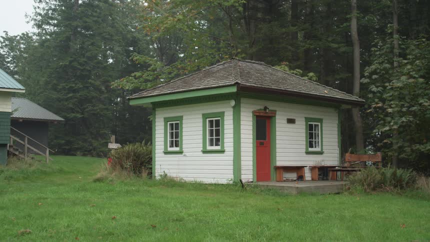 A house is surrounded by tall green trees