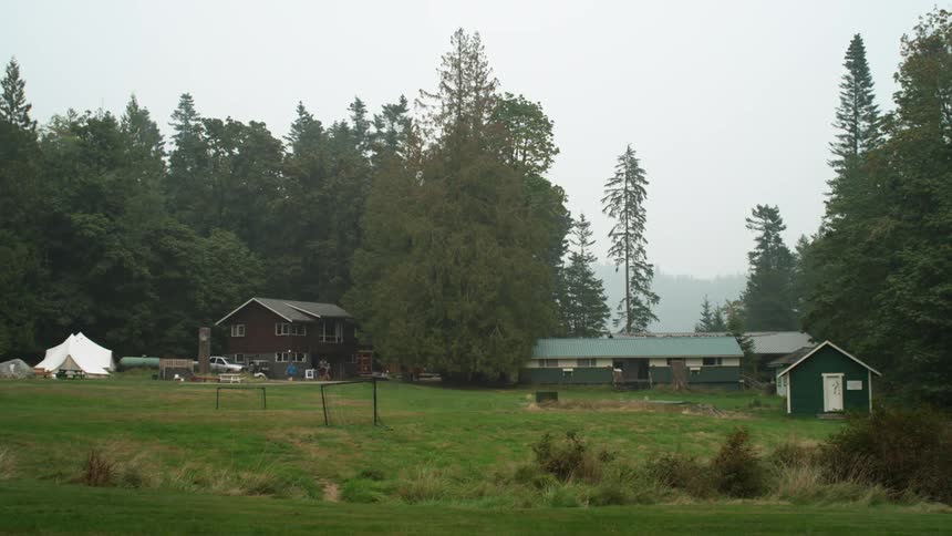 A small farm in a green field near a treeline at daytime