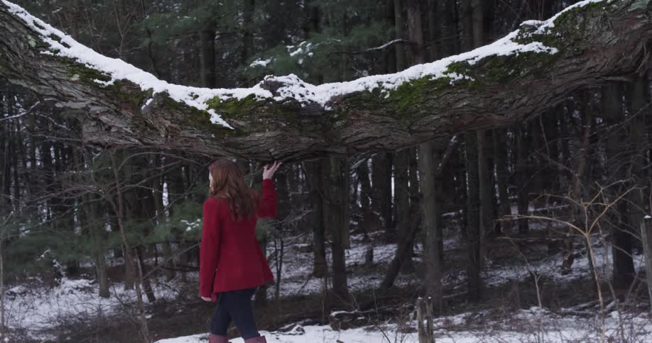 A woman is walking in the woods tracing her hand along a tree