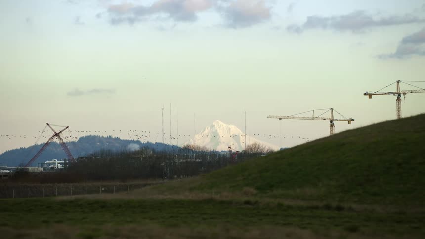 Canadian Geese migrating north are seen flying in front of large cranes and Mount Hood in this passenger window POV shot looking the window of a commercial jetliner