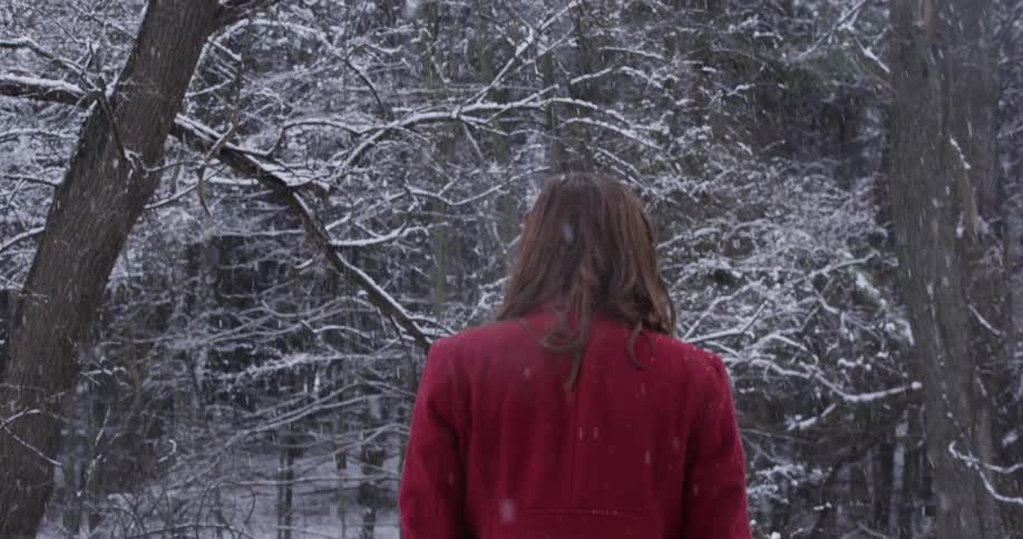 A woman in a red coat walks in a grove of trees during a snowfall
