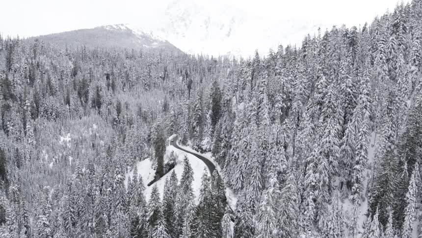 A narrow road winds its way through a snowy forest up towards majestic mountains