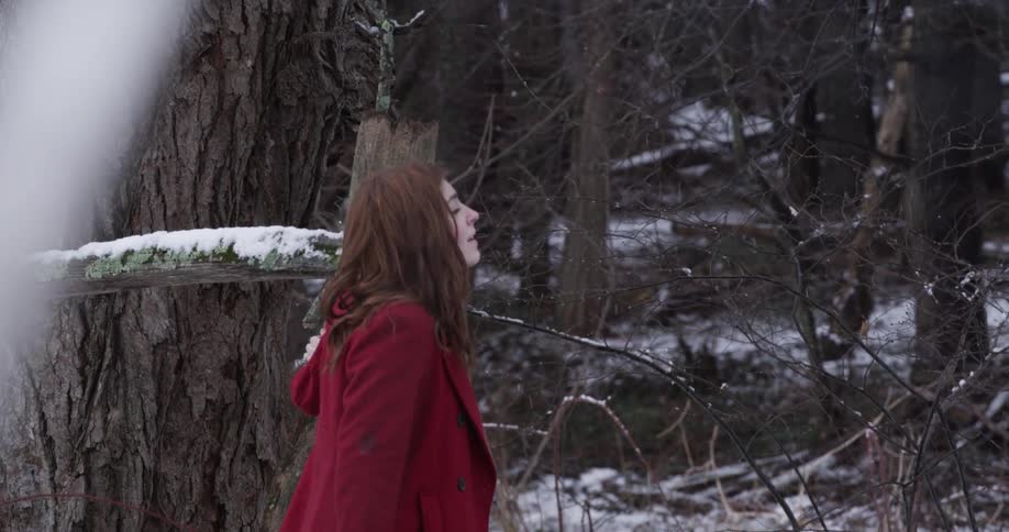 A woman walking amidst trees and snow stops to wonder at it all