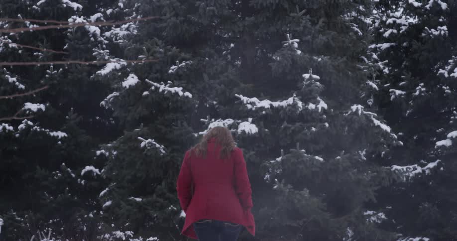 A woman walks toward pine trees laden with snow