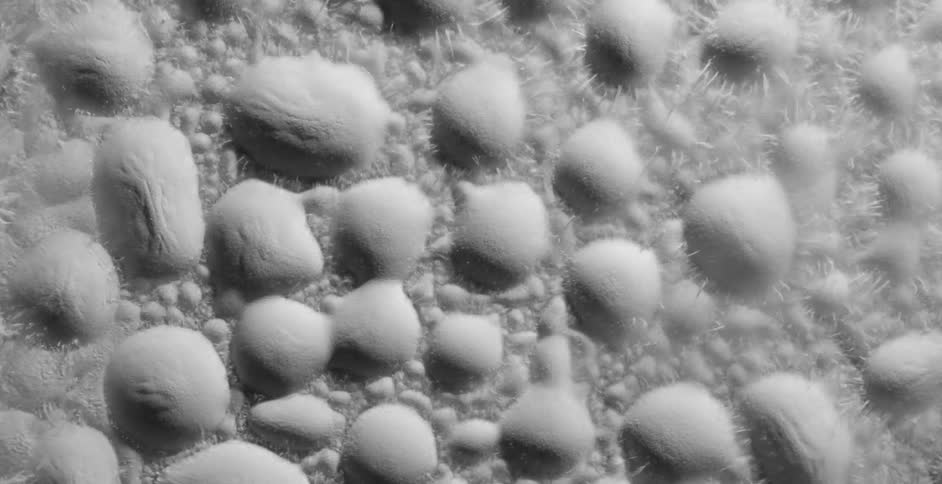 White black and gray colors that look like powder vibrating