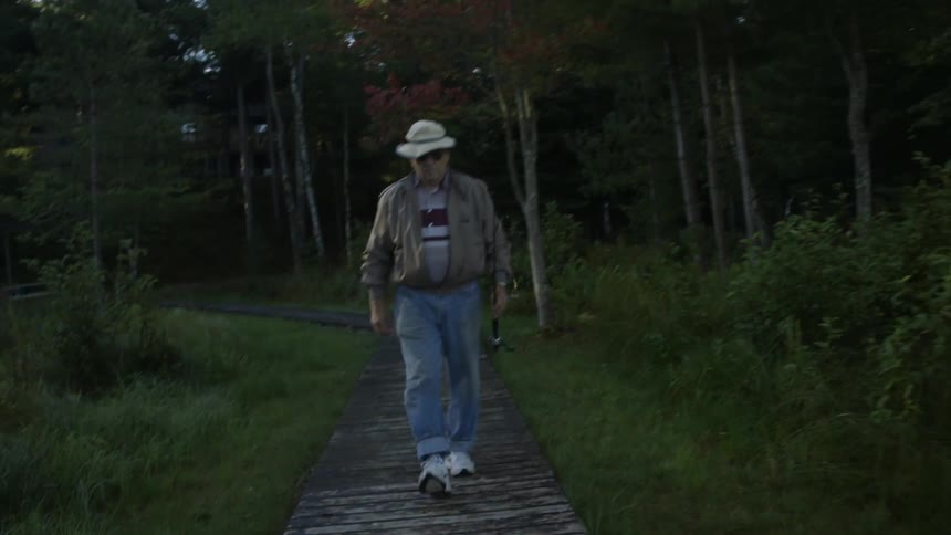A man is walking on a boardwalk near the woods