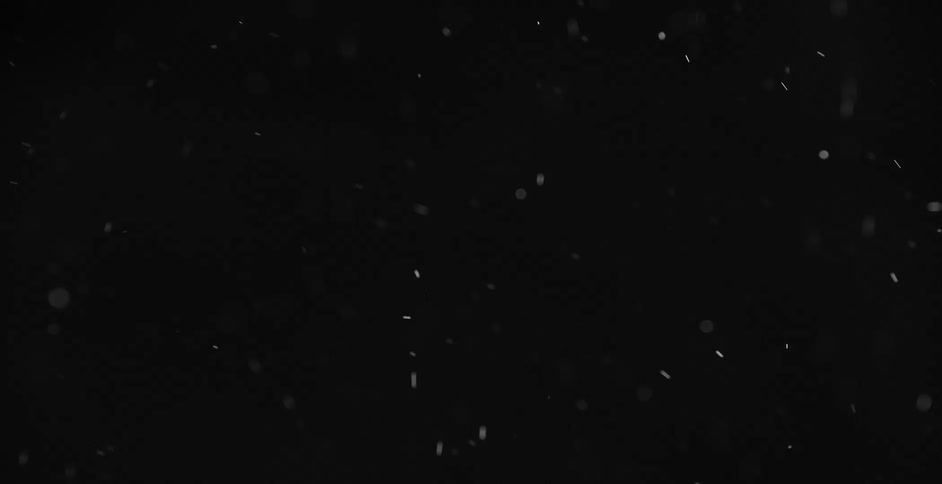 Snowflakes falling in the night sky