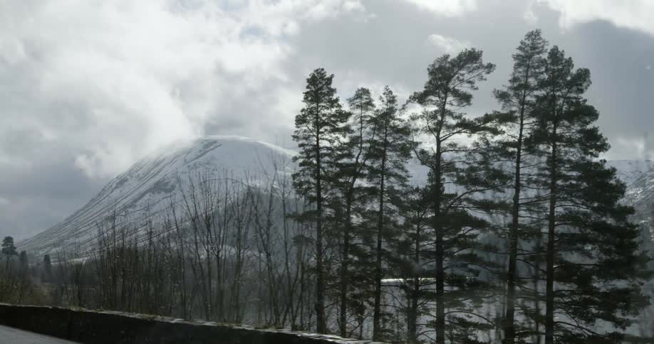 Pine trees along the roadside and a snow covered mountain beyond the lake under a cloudy sky