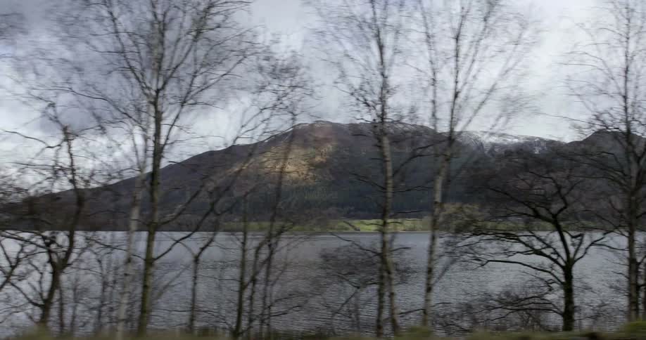 Leafless trees stand onlake shore across from snow dabbed mountains on cloudy day