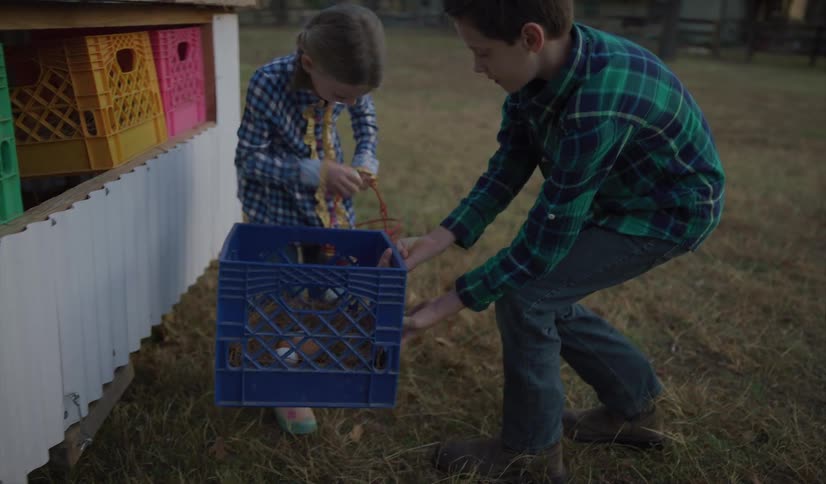 A boy and a girl taking eggs from a chicken coop with trees the sky and clouds in the background