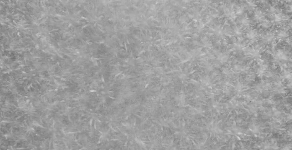 Water droplets covered in white dust vibrating over a surface
