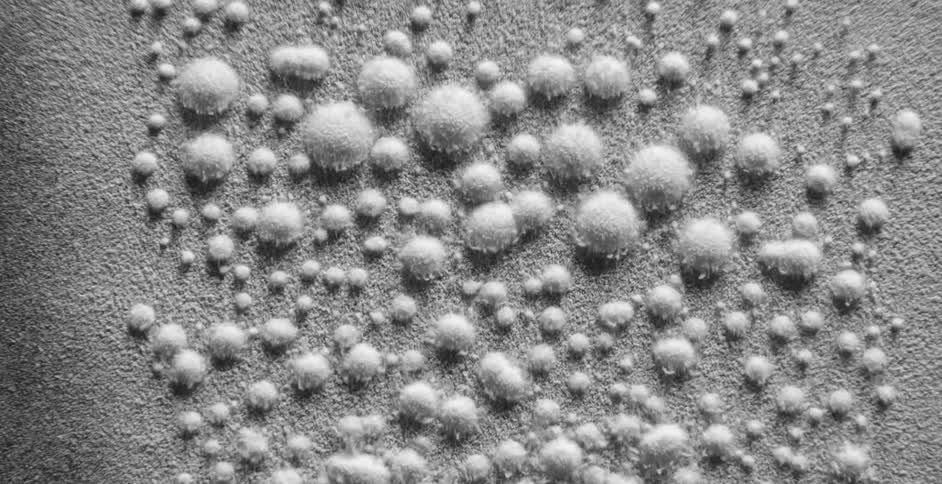 A view of sand shaking