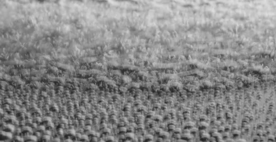Drops of water covered in white dust move and shatter over a vibrating surface
