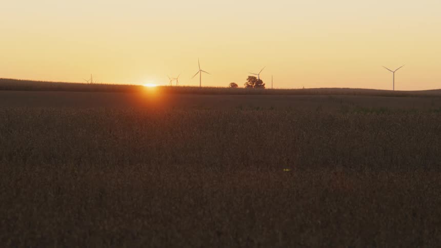 Turbines spin on a wind farm as the sun rises