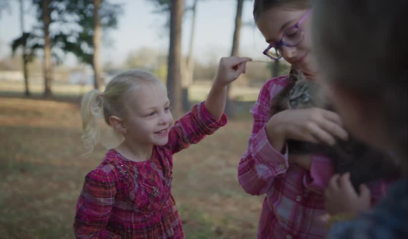 Three little girls playing with a kitten in the yard of a house on a rural area at sunset