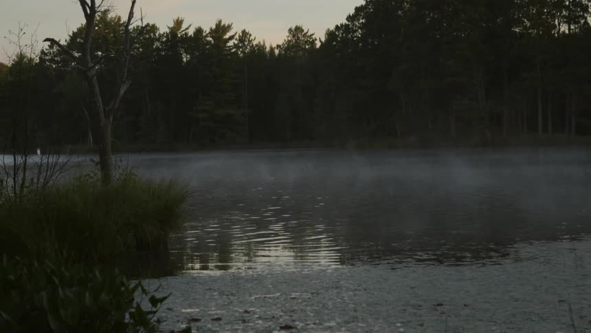 Steam rising from a pond in the morning