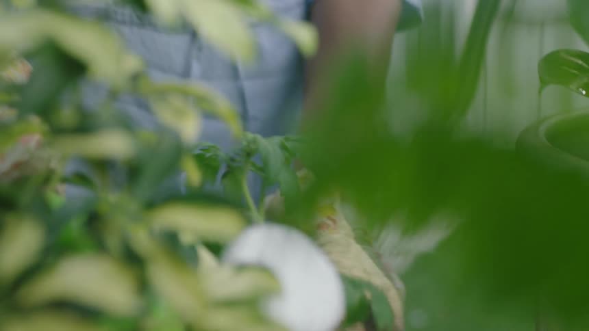 An elderly woman tending potted plants in the garden at home