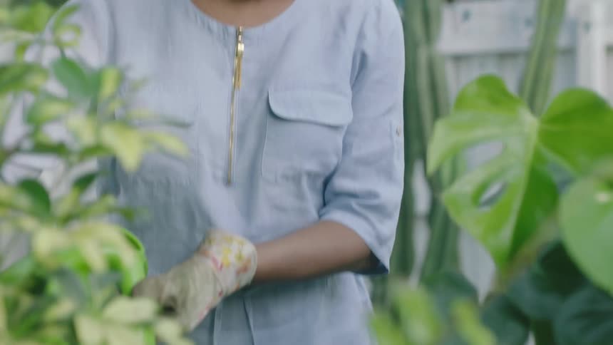 Woman with grey hair blue blouse and jeans waters the plants in the garden