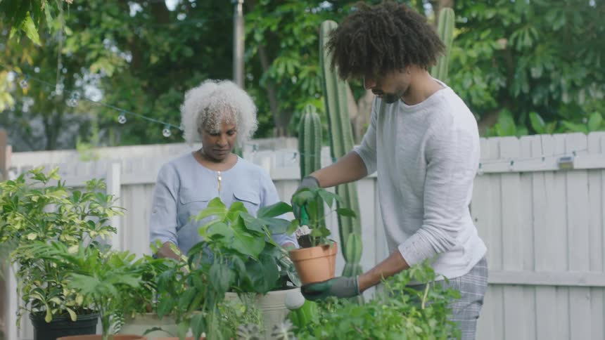 Two people are gardening in the yard