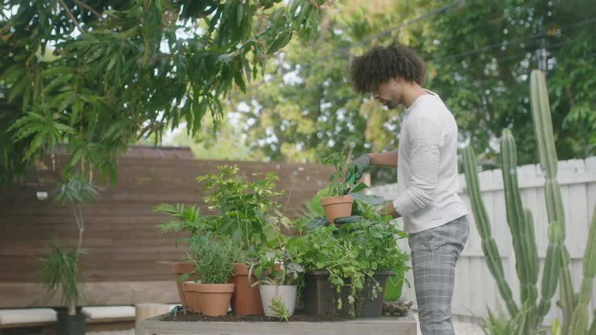 A man in a garden puts a plant into a small clay pot