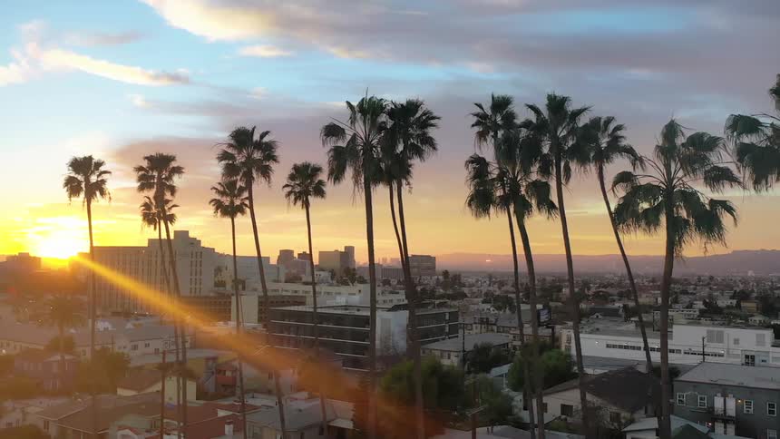 A city with palm trees in the foreground with houses buildings the sky and clouds in the background