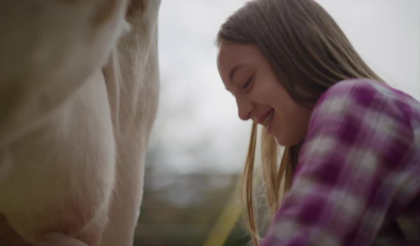Blonde girl with plaid shirt milks the cow